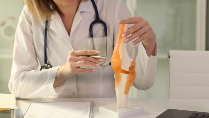 Healthcare professional explaining the intricacies of the knee joint.