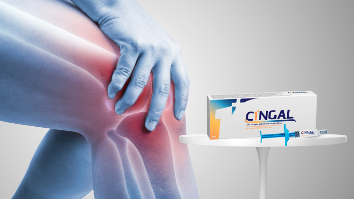 Buy Cingal Online from Maylips Your Convenient Solution for Joint Pain Relief 1