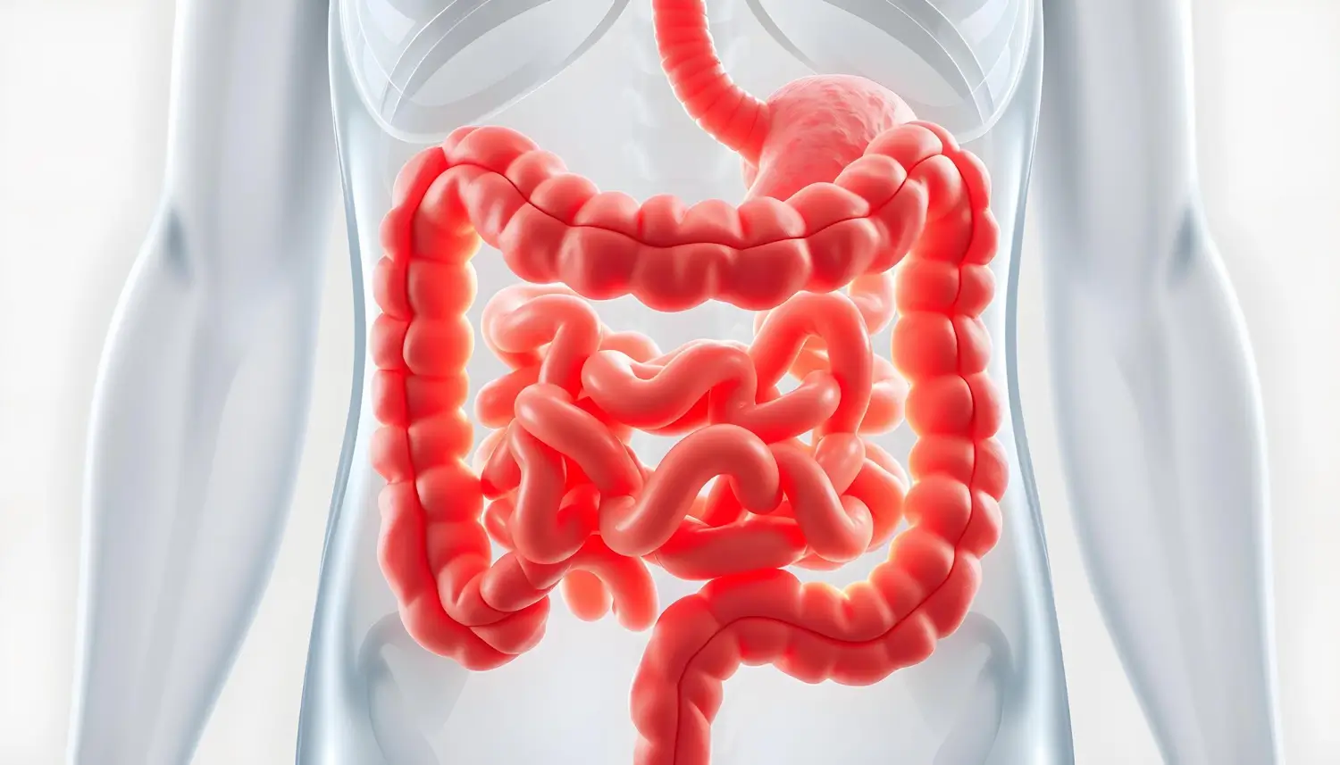 inflammation in the stomach, particularly the intestines