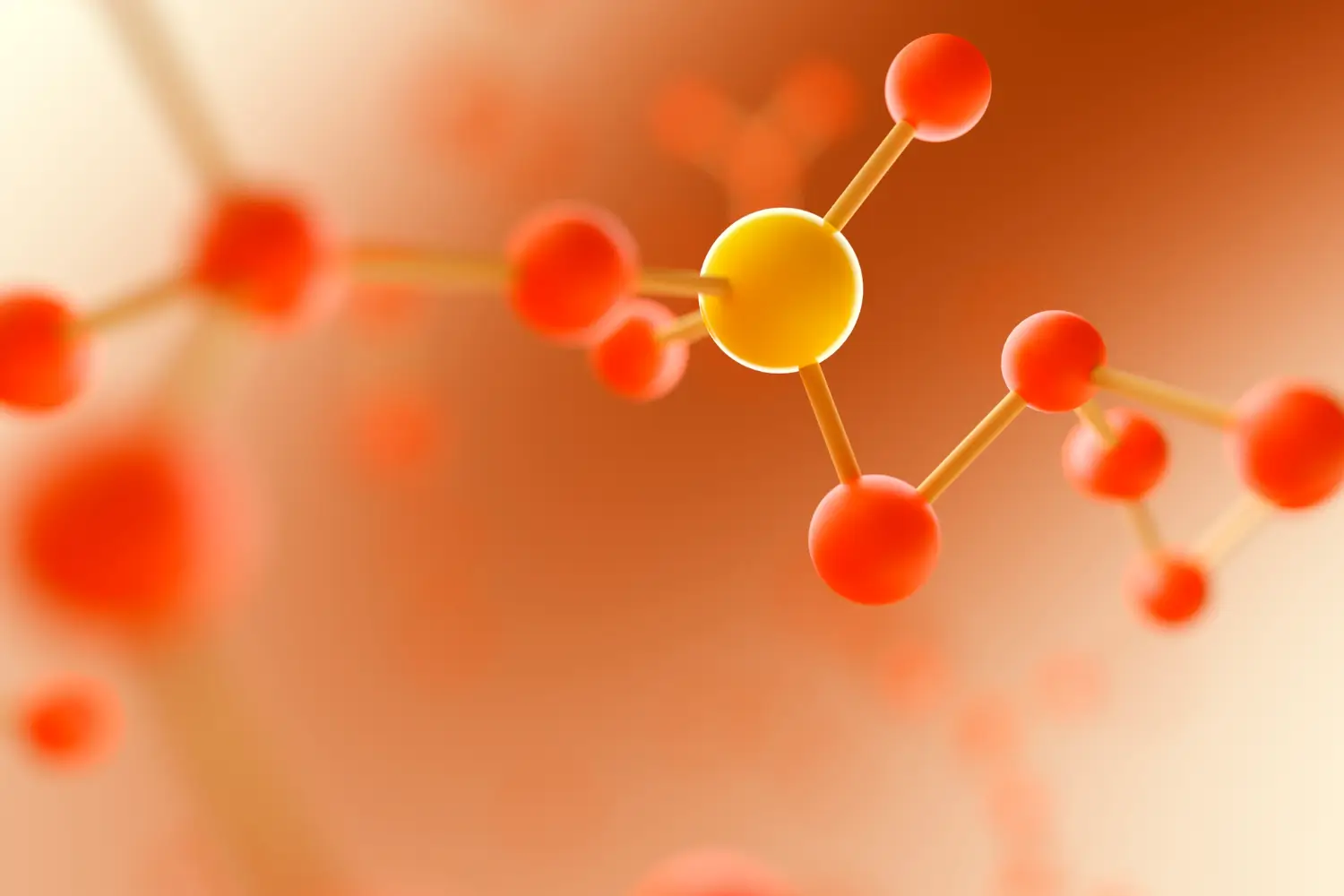cells in the skin that fights aging