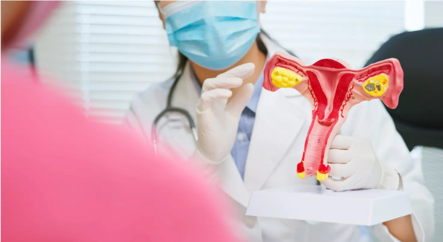 Doctor uses a uterus model to discuss reproductive health before using weight loss treatments like Ozempic or Wegovy.
